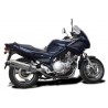 Delkevic Exhaust XJ900S Diversion