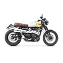 Zard Full Exhaust System 2-1 Short High Mount Matt RVS | Triumph Scrambler