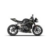 Zard Exhaust RVS/Carbon | Triumph Street Triple 765