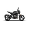 Zard Uitlaatsysteem 3-1 TitaniumCarbon | Triumph Trident 660