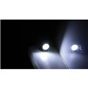 Shin-Yo License plate lighting LED | Round M6