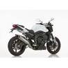 Shark Uitlaat SRC-4 | Yamaha FZ1 Fazer | titanium