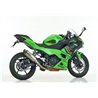 Shark Silencer SRC-4 | Kawasaki Ninja 500/Z500 | silver