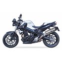 IXIL Uitlaat Hexoval Xtrem EVO SOVE | Zilver | BMW F650GS