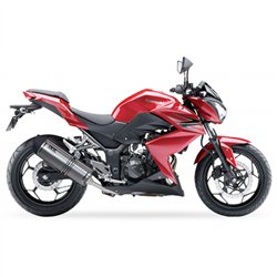 IXIL Uitlaat Hexoval Xtrem EVO SOVE | Zilver | Kawasaki Z400