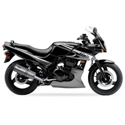 IXIL Uitlaat rechts Hexoval Xtrem EVO SOVE | Zilver | Kawasaki GPZ500