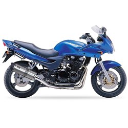 IXIL Uitlaat Hexoval Xtrem SOVE | Zilver | Kawasaki ZR-7