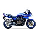 IXIL Uitlaat Hexoval Xtrem SOVE | Zilver | Kawasaki ZRX1200