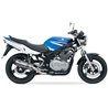 IXIL Uitlaat Hexoval Xtrem EVO SOVE | Zilver | Suzuki GS500F