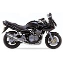 IXIL Uitlaat Hexoval Xtrem RVS Suzuki GSF600