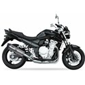 IXIL Uitlaat Hexoval Xtrem RVS Suzuki GSF650