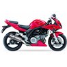 IXIL Uitlaat links Hexoval Xtrem EVO SOVE | Zilver | Suzuki SV1000