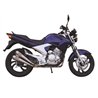 IXIL Uitlaatsysteem Dual Conical 2-CON | Zilver | Yamaha YBR250