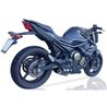 IXIL Uitlaatsysteem Super Xtrem SX1 | Zilver | Yamaha XJ-6
