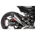 BOS Uitlaat SSEC GP Zilver BMW S1000R