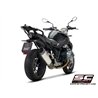 SC-Project Exhaust SC1-R | Silver | BMW R1250R/R1250RS