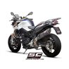 SC-Project Exhaust Oval | Carbon | BMW F800R