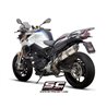 SC-Project Exhaust Oval | Silver | BMW F800R