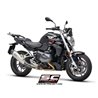 SC-Project Exhaust X-Plorer II | Silver | BMW R1250R/R1250RS