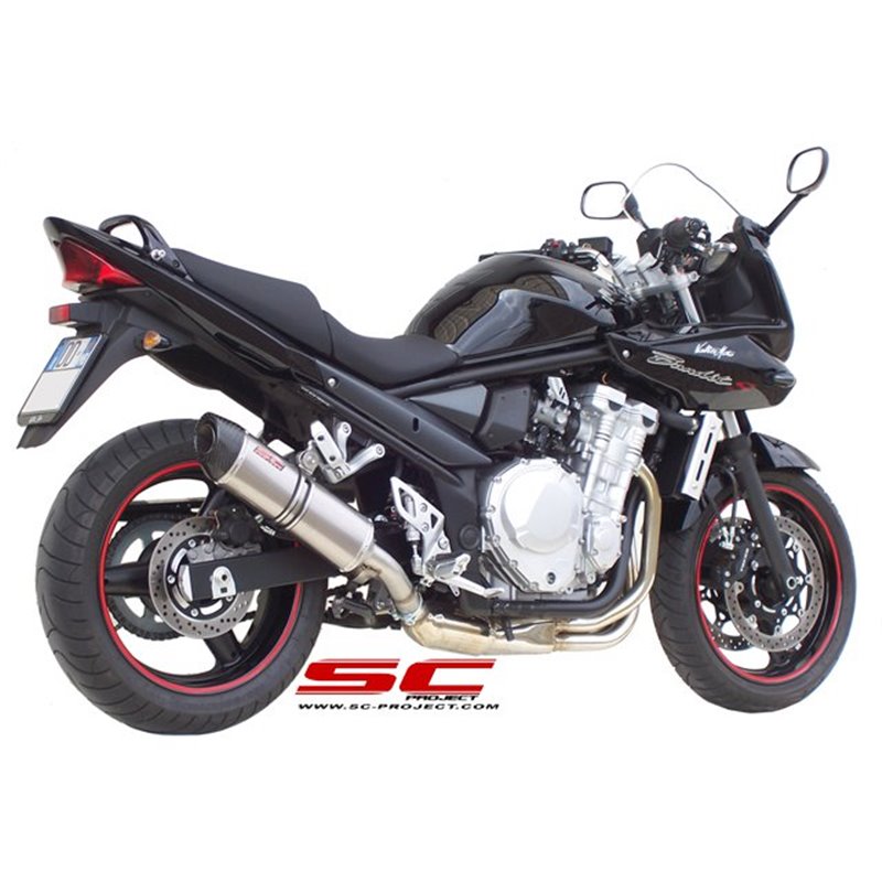 SC-Project Exhaust Oval | Silver | Suzuki GSX-1250F
