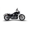 Zard Uitlaten RVS Zwart Harley Davidson Softail Standard