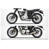 Zard Exhaust System Short Stainless Steel Silver Triumph Bonneville T120