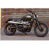 Zard Uitlaatsysteem Conisch Rond (Hoog) RVS Zilver Triumph 865 Scrambler