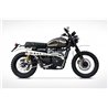 Zard Uitlaatsysteem 2-1 Special Edition (hoog) RVS Zilver Triumph 865 Scrambler