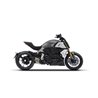 Zard Exhaust System Stainless Steel Silver Ducati 1260 Diavel