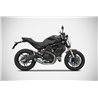Zard Exhaust System Conical Titanium Silver Ducati 797 Monster