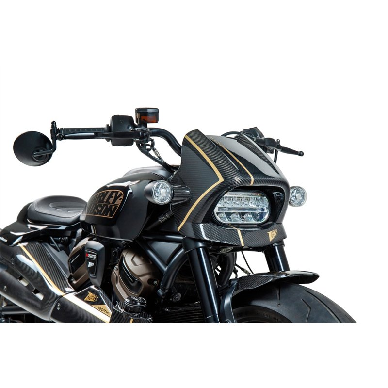 Zard Front Fender Carbon Carbon Harley Davidson 1250 Sportster
