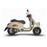 Zard Uitlaat RVS Zilver Piaggio GTV300 Vespa