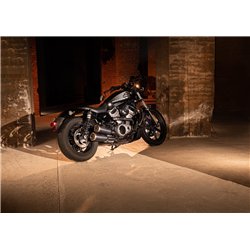 Zard Radiator plug cover 120th Anniversary Design Carbon Carbon Harley Davidson 975 Sportster Nightster