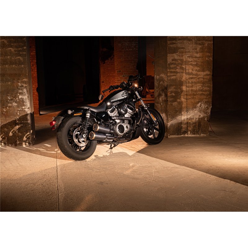 Zard Radiator plug cover 120th Anniversary Design Carbon Carbon Harley Davidson 975 Sportster Nightster