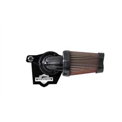 Zard Luchtfilter Kit Carbon Carbon Harley Davidson Softail Fat Bob 114