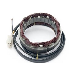 Stator ESG21 (voor dynamo)