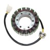 Stator ESG165 (voor dynamo)