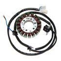 Stator ESG733 (voor dynamo)