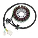 Stator ESG847 (voor dynamo)