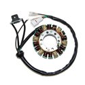 Stator ESG870 (voor dynamo)