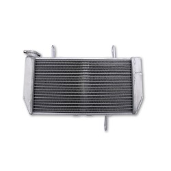 Radiateur | Multistrada 1200