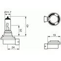 H11 gloeilamp 12V 55W PGL 19-2