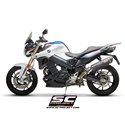 Uitlaatdemper Oval carbon BMW F800R (09-16)