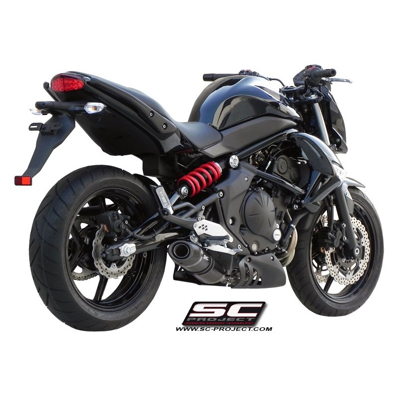 Uitlaatdemper Oval carbon Kawasaki ER6N/F & Versys (05-11)