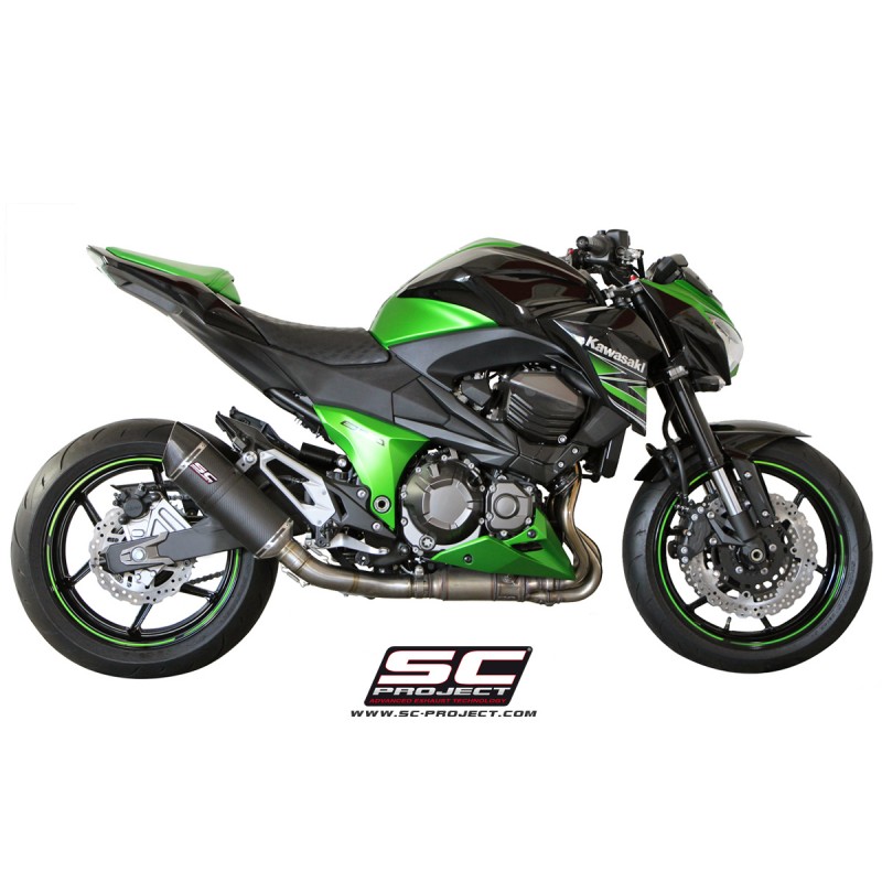 Uitlaatdemper Oval carbon Kawasaki Z800 (12-16)