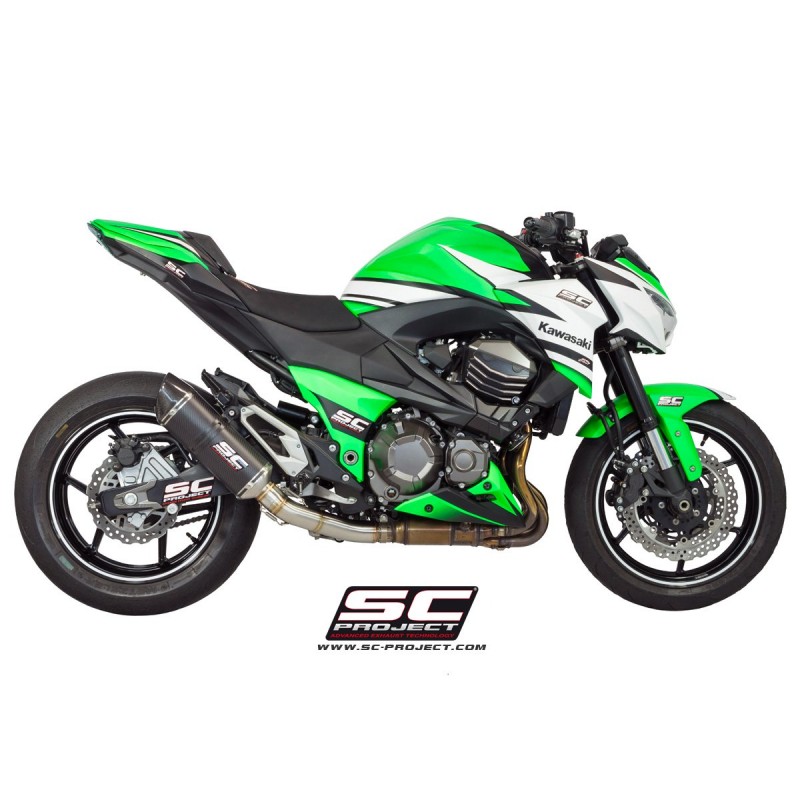 Uitlaatdemper Oval carbon Kawasaki Z800 (12-16)