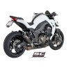 Uitlaatdempers GP-Tech carbon Kawasaki Z1000 (14-16)