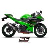 Uitlaatdemper Oval carbon Kawasaki Ninja 400 (18-20)