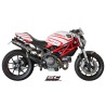 Uitlaatdempers GP-Tech carbon Ducati Monster 696/796/1100-S (09-14)