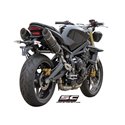 Uitlaatdempers Oval carbon Triumph Street Triple 675-R (07-12)